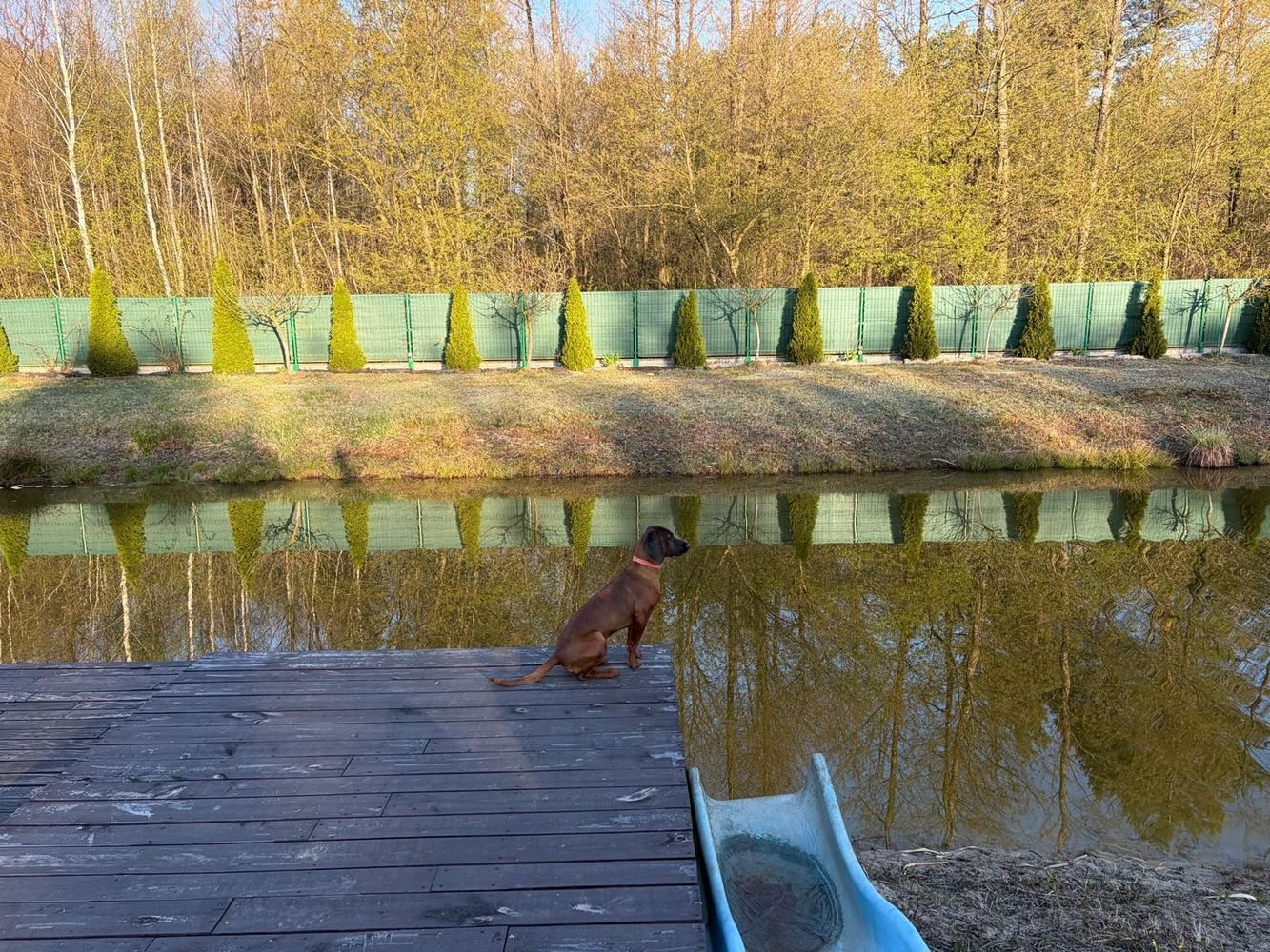 Staw i pomost w Letniej Oazie